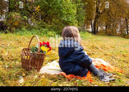 Jolie petite fille sur un pique-nique dans le parc d'automne avec un panier de roses Banque D'Images