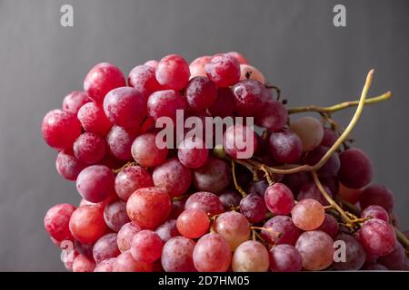 Gros plan, baies de grappe de raisin sombre en faible lumière isolées sur fond noir. Banque D'Images