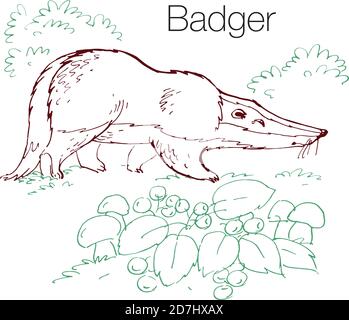 Illustration vectorielle Badger dessinée à la main Illustration de Vecteur