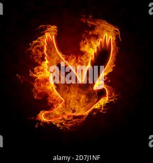 Silhouette d'oiseau brûlante sur fond noir Banque D'Images