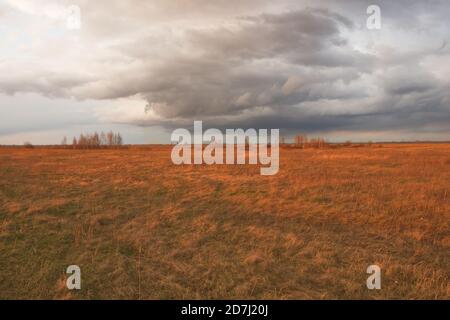 Ciel nuageux et spectaculaire sur la steppe d'automne. Herbes de champ sèches et brillantes. Banque D'Images
