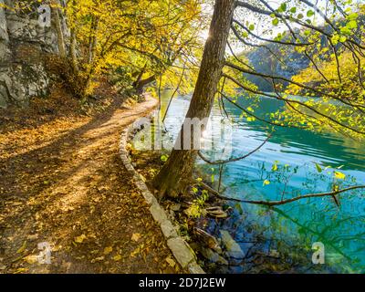 Vue fantastique lacs de Plitvice feuilles mortes en Croatie Europe sentier légèrement incurvé le long d'un lac calme le long de la côte Banque D'Images