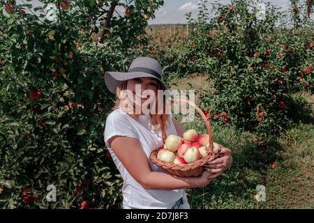 Femme souriante portant un chapeau tenant les pommes dans le panier en étant debout au verger Banque D'Images