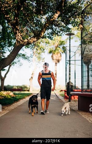 Homme portant des lunettes de soleil marchant avec des chiens sur la route dans le parc Banque D'Images