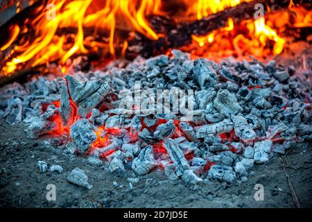 Les empers brûlent dans des cendres de feu de camp Banque D'Images