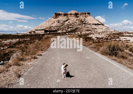 Espagne, Navarre, petit chien debout au milieu de la route vide à Bardenas Reales Banque D'Images