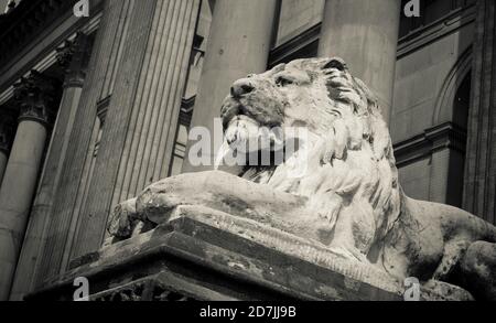 Statue d'un lion à l'entrée de l'hôtel de ville de Leeds dans le centre de la ville de Leeds, West Yorkshire, Angleterre. Banque D'Images