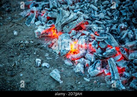 Les empers brûlent dans des cendres de feu de camp Banque D'Images
