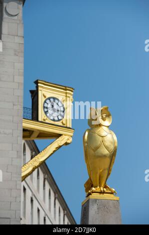 Horloge dorée et hibou sur le Leeds Civic Hall, Millennium Square, Leeds, West Yorkshire, Angleterre. Banque D'Images