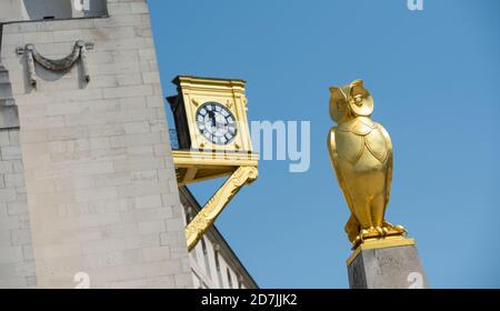 Horloge dorée et hibou sur le Leeds Civic Hall, Millennium Square, Leeds, West Yorkshire, Angleterre. Banque D'Images