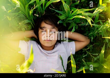 Garçon avec les mains derrière le dos dormant sur l'herbe dans la prairie Banque D'Images