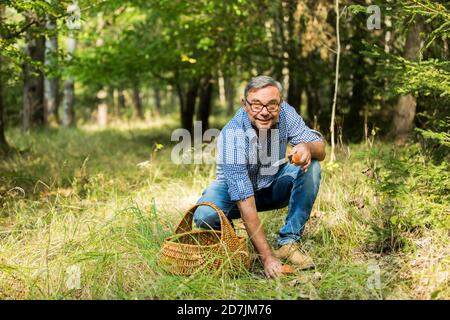 Homme mature collectant des champignons dans la forêt Banque D'Images