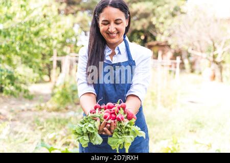 Bonne femme montrant des radis biologiques fraîchement récoltés du jardin Banque D'Images