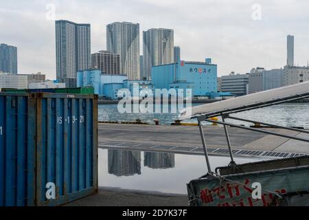 De nombreux bâtiments résidentiels de grande hauteur se trouvent dans le quartier de Toyosu Tokyo, au Japon. Banque D'Images