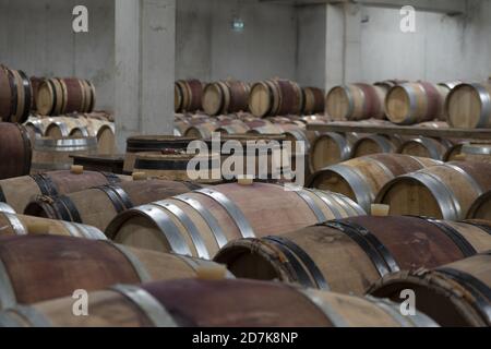 Fûts de vin en bois alignés dans une cave à vin, Bordeaux, France Banque D'Images