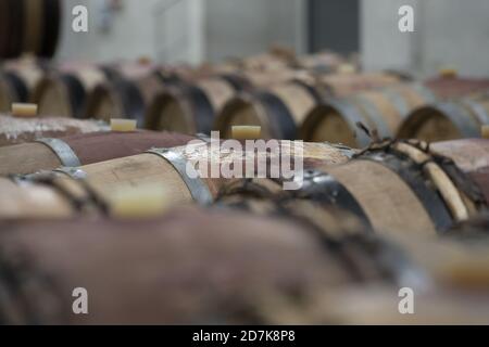 Rangée de fûts de chêne colorés par du vin rouge près du bunkg, Bordeaux Banque D'Images