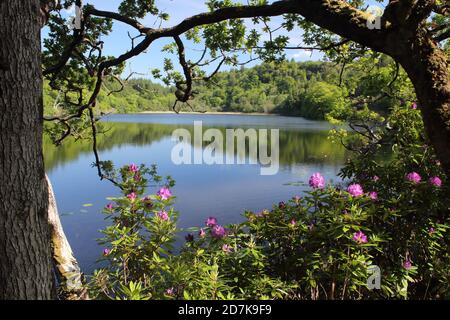 Lochan a' Ghurrabain, parc Aros près de Tobermory, île de Mull. Écosse Banque D'Images