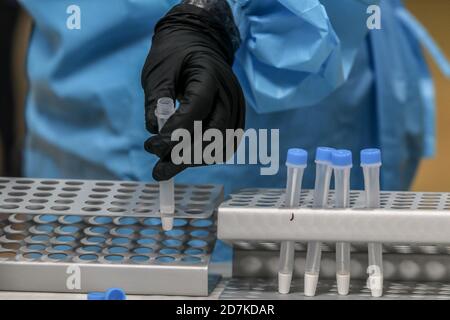 23 octobre 2020: 23 octobre 2020 (Almachar, Malaga) environ 300 habitants de la ville Axarchic ont aujourd'hui subi un dépistage massif pour détecter d'éventuels cas positifs de Covid-19. Des tests rapides d'antigène ont été effectués pour faire un échantillon aléatoire choisi selon les critères épidémiologiques de l'incidence de la maladie et représentatif de la population. Pour ces tests, on utilise des tests d'antigène, qui sont comparables en capacité de diagnostic à la PCR et permettent de connaître le résultat dans environ 15 minutes crédit: Lorenzo Carnero/ZUMA Wire/Alay Live News Banque D'Images