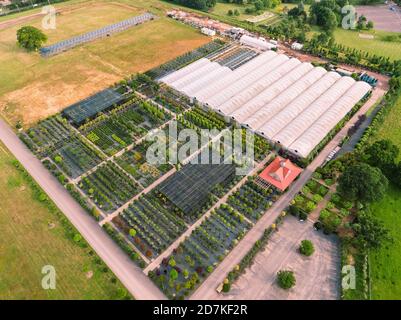 Architectural plants est une pépinière à Pulborough, West Sussex, Angleterre, Royaume-Uni. Situé dans 32 hectares de champs ouverts et entouré de terres agricoles donnant sur t Banque D'Images