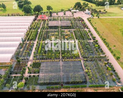 Architectural plants est une pépinière à Pulborough, West Sussex, Angleterre, Royaume-Uni. Situé dans 32 hectares de champs ouverts et entouré de terres agricoles donnant sur t Banque D'Images