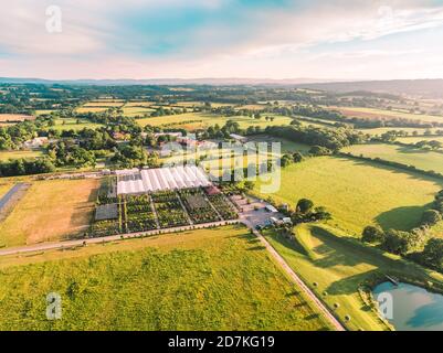 Architectural plants est une pépinière à Pulborough, West Sussex, Angleterre, Royaume-Uni. Situé dans 32 hectares de champs ouverts et entouré de terres agricoles donnant sur t Banque D'Images