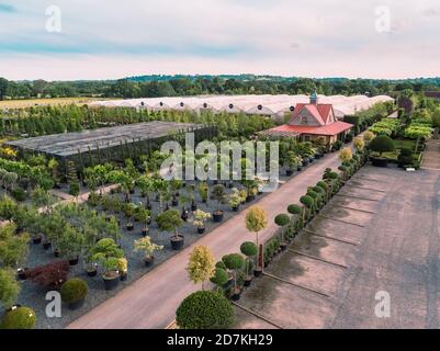 Architectural plants est une pépinière à Pulborough, West Sussex, Angleterre, Royaume-Uni. Situé dans 32 hectares de champs ouverts et entouré de terres agricoles donnant sur t Banque D'Images