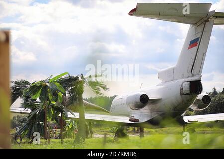 Avion dans la jungle. L'avion a atterri dans la végétation dense des palmiers. Voyage à l'île dans la jungle. Banque D'Images