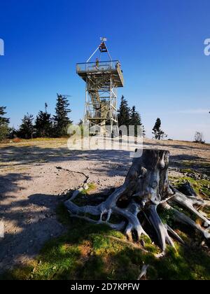 Tour d'observation sur Barania Gora. Tronc d'arbre au premier plan. Banque D'Images