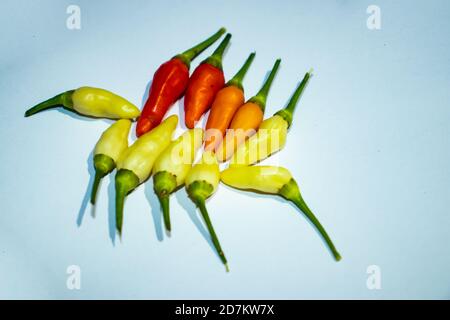 Piments blancs rouges et oranges sur fond blanc Banque D'Images