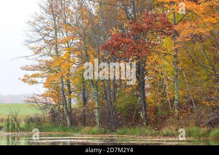 Matin d'automne sur un lac sauvage dans le nord du Wisconsin. Banque D'Images