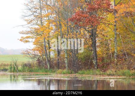 Matin d'automne sur un lac sauvage dans le nord du Wisconsin. Banque D'Images