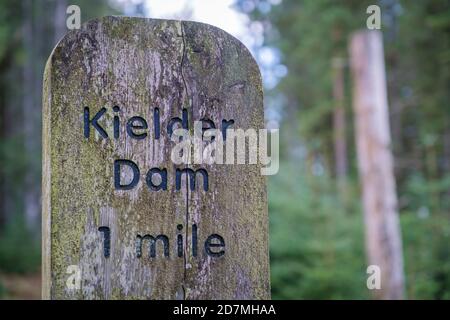 The Lakeside Way à Kielder Forest and Water, Northumberland, Angleterre, Royaume-Uni Banque D'Images