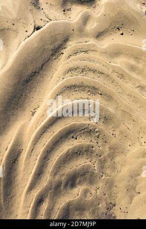 la texture du sable est jaune. gros plan. image d'arrière-plan Banque D'Images