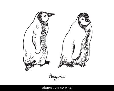 Couple de pingouins marchant dans l'ordre, Doodle dessiné à la main, croquis dans le style pop art, illustration avec inscription Banque D'Images