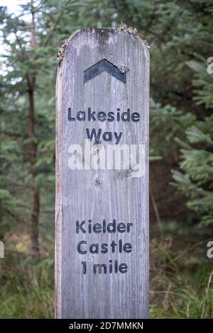 The Lakeside Way à Kielder Forest and Water, Northumberland, Angleterre, Royaume-Uni Banque D'Images