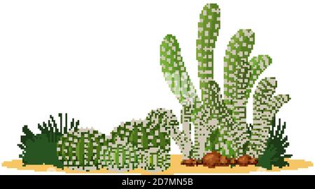 Différentes formes de cactus dans une illustration de groupe Illustration de Vecteur