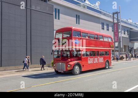 Gray Line Tourist Hop on Hop Off Vintage Red London Bus à impériale Routemaster 1965 bus au navire de croisière de Halifax Terminal Nouvelle-Écosse Canada Banque D'Images