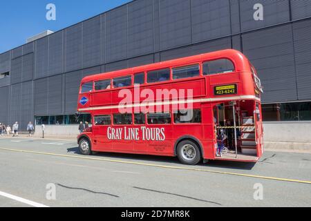 Gray Line Tourist Hop on Hop Off Vintage Red London Bus à impériale Routemaster 1965 bus au navire de croisière de Halifax Terminal Nouvelle-Écosse Canada Banque D'Images