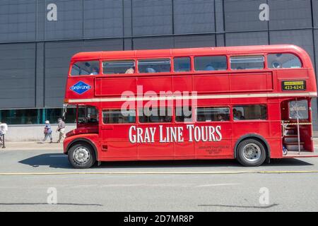 Gray Line Tourist Hop on Hop Off Vintage Red London Bus à impériale Routemaster 1965 bus au navire de croisière de Halifax Terminal Nouvelle-Écosse Canada Banque D'Images