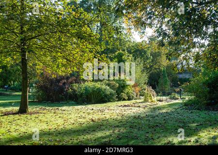 Jardins botaniques d'Oxford en automne. Oxford, Oxfordshire, Angleterre Banque D'Images