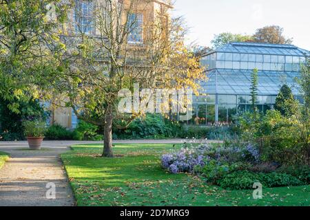 Jardins botaniques d'Oxford en automne. Oxford, Oxfordshire, Angleterre Banque D'Images