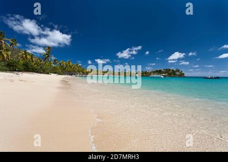 Une belle plage à Antigua. Antigua est une île dans les Petites Antilles. Banque D'Images