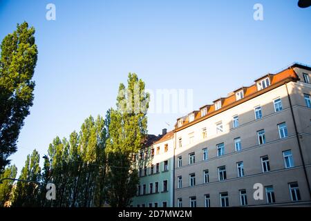 Immeubles résidentiels, immeubles d'appartements et condominiums à Sendling, peupliers en face des maisons, Lindwurmstr Banque D'Images