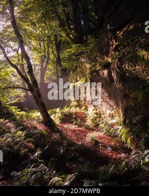 Dufton Ghyll, Eden Valley, Cumbria Banque D'Images