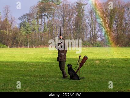 Tournage de faisans lors d'un tournage de jeu mené dans le Lancashire, en Angleterre. Un arc-en-ciel est en arrière-plan. Banque D'Images