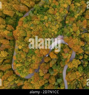 Automne d'en haut avec un droneshot d'une double courbe dans une forêt colorée et des voitures de conduite, belle chute, positive photo émotionnelle nature. Banque D'Images