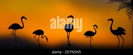 Groupe vectoriel de silhouettes de flamants au coucher du soleil. Illustration du coucher de soleil flamant, ciel paysage Illustration de Vecteur