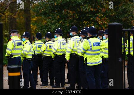 Hyde Park, Londres, Royaume-Uni. 24 octobre 2020. Poursuite de l'action des manifestants anti-verrouillage qui se rencontrent et protestent à Hyde Park, Londres. Aucune distanciation sociale n'est observée et aucun masque porté par les préposés. Un groupe de police en attente. Crédit photo: Paul Lawrenson-PAL Media/Alay Live News Banque D'Images