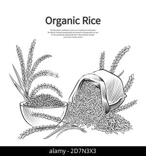 Arrière-plan de riz dessiné à la main. Illustration du sac de riz, du bol et des oreilles. Récolte de riz, sac de récolte, céréales agricoles Illustration de Vecteur