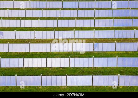 Parc d'énergie solaire à Silkeborg, Danemark. Il couvre une superficie de 156.000 m2 ou 22 terrains de football et dispose de 12,000 panneaux solaires. Banque D'Images